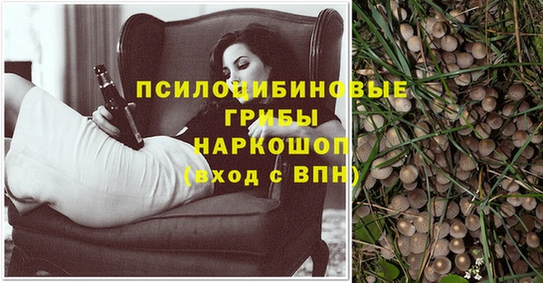 эйфоретик Арсеньев