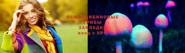 эйфоретик Арсеньев
