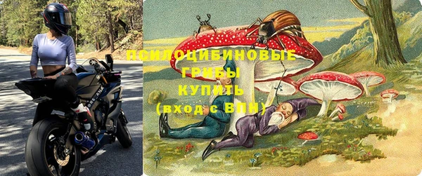 крисы Армянск