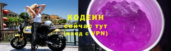 эйфоретик Арсеньев