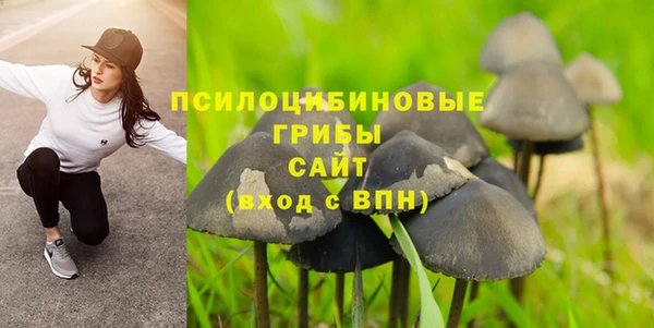 крисы Армянск